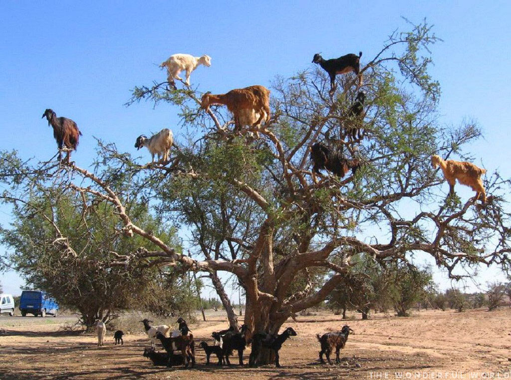 Picture 10 of 14 incredible phenomena have been happening in the life around you that amaze you