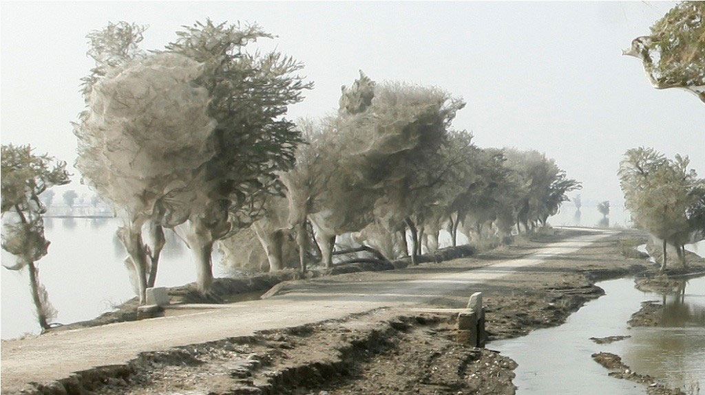 Picture 8 of 14 incredible phenomena have been happening in the life around you that amaze you
