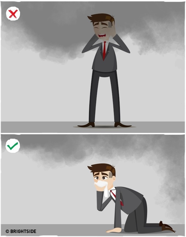 Picture 9 of 14 simple facts that can save your life at any time