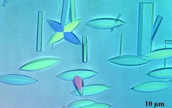 Picture 10 of 14 strange science pictures