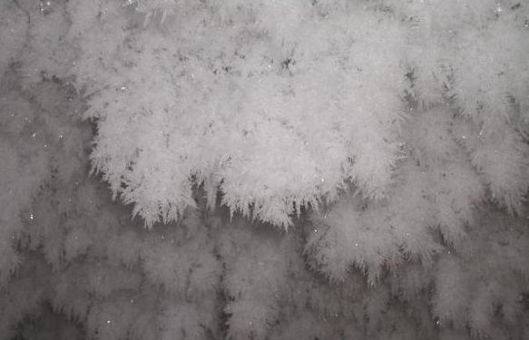 Picture 13 of 14 strange science pictures