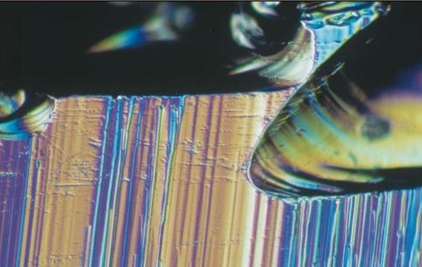 Picture 14 of 14 strange science pictures