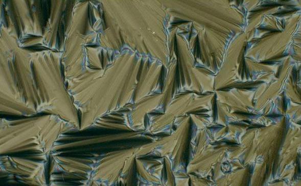 Picture 6 of 14 strange science pictures