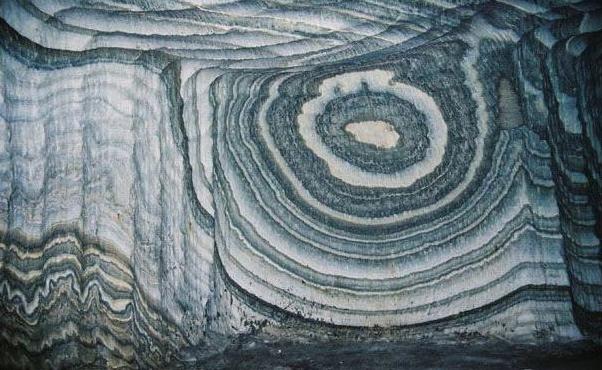 Picture 8 of 14 strange science pictures