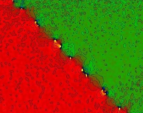 Picture 9 of 14 strange science pictures