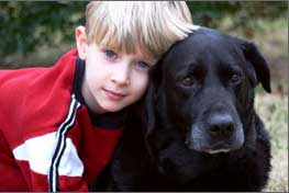 Picture 1 of 14 types of animal infections