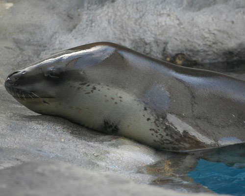 Picture 10 of 15 cute animals but you have to stay away