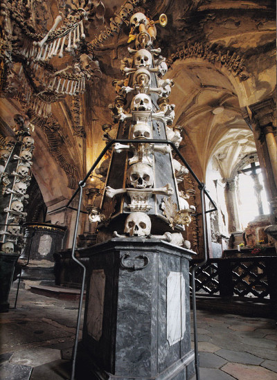 Picture 11 of 15 horrifying photos of the world's skeletons