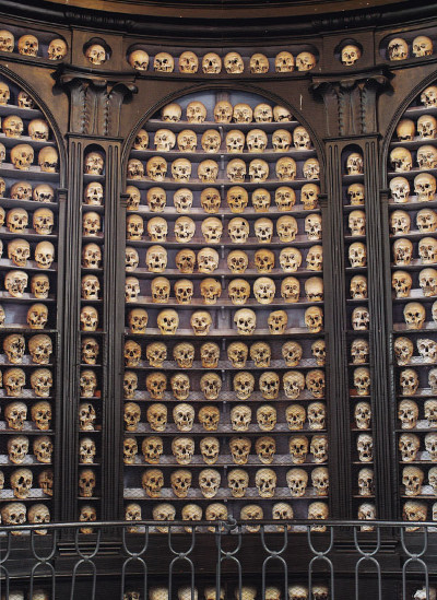 Picture 7 of 15 horrifying photos of the world's skeletons
