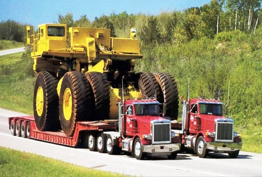 Picture 14 of 15 images show that nothing humans can't move