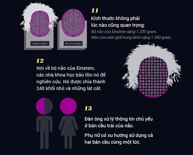 Picture 4 of 15 incredible facts about the brain