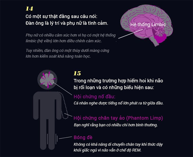Picture 5 of 15 incredible facts about the brain