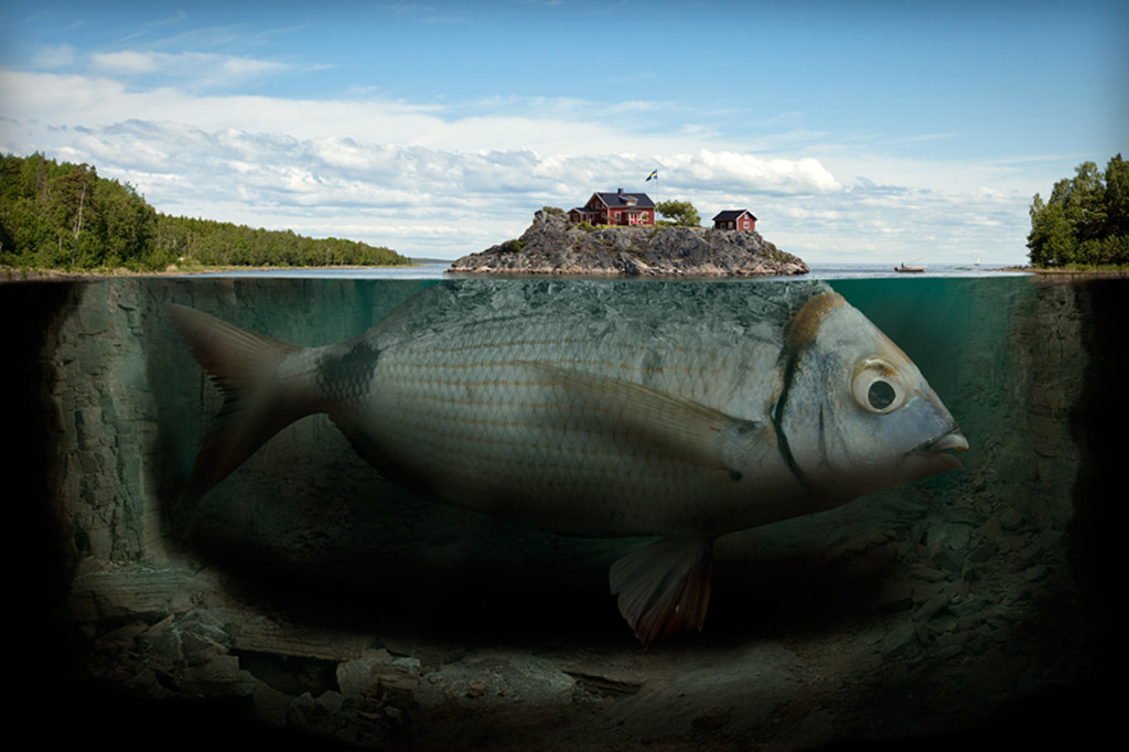 Picture 13 of 15 incredible fantasy images created from real photos