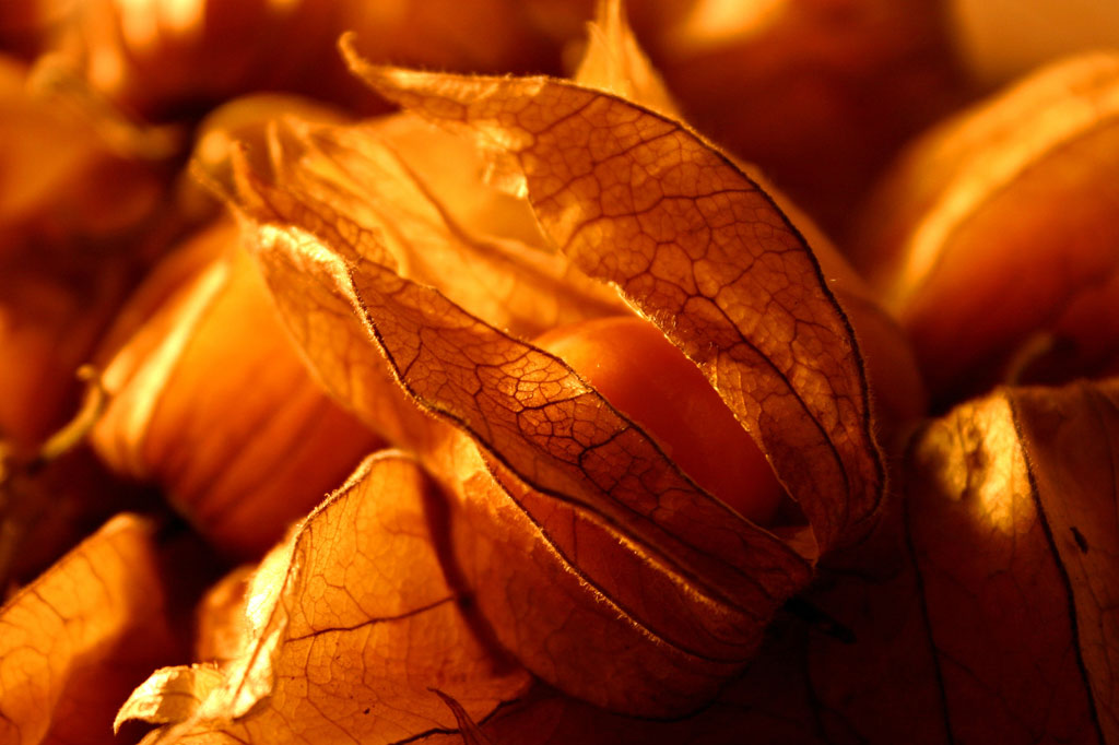 Picture 14 of 15 kinds of fruits in Vietnam are listed in the 25 most exotic fruits in the world