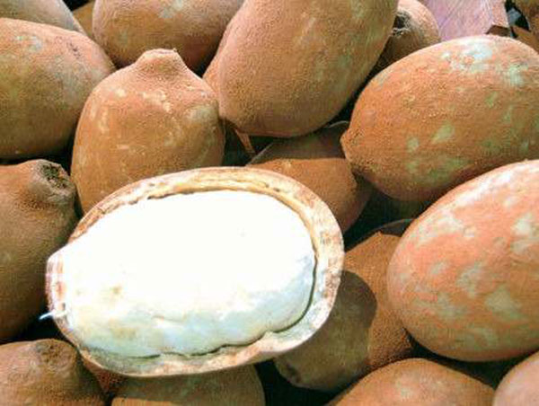 Picture 22 of 15 kinds of fruits in Vietnam are listed in the 25 most exotic fruits in the world