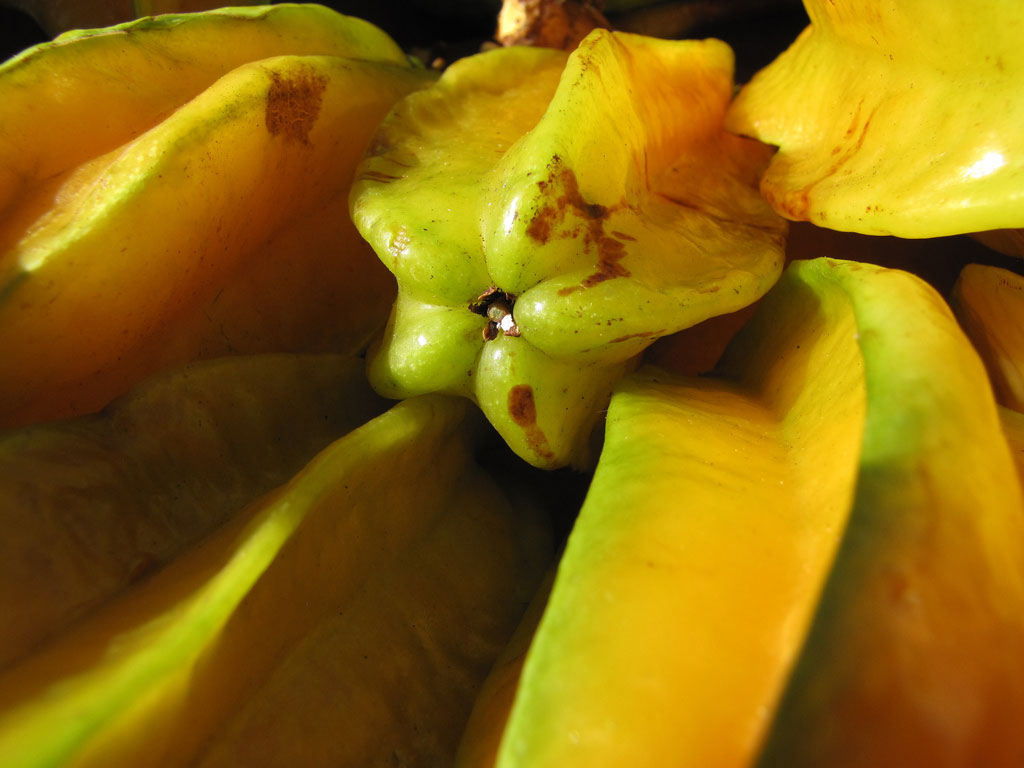 Picture 24 of 15 kinds of fruits in Vietnam are listed in the 25 most exotic fruits in the world