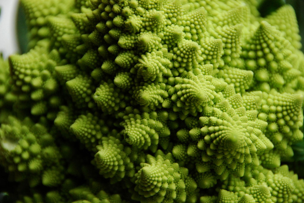 Picture 9 of 15 kinds of fruits in Vietnam are listed in the 25 most exotic fruits in the world