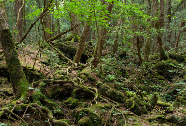 Picture 10 of 15 macabre locations that the bravest have to build their hair