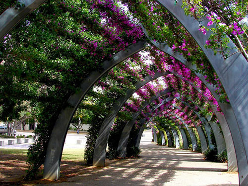 Picture 15 of 15 most beautiful flower paths in the world