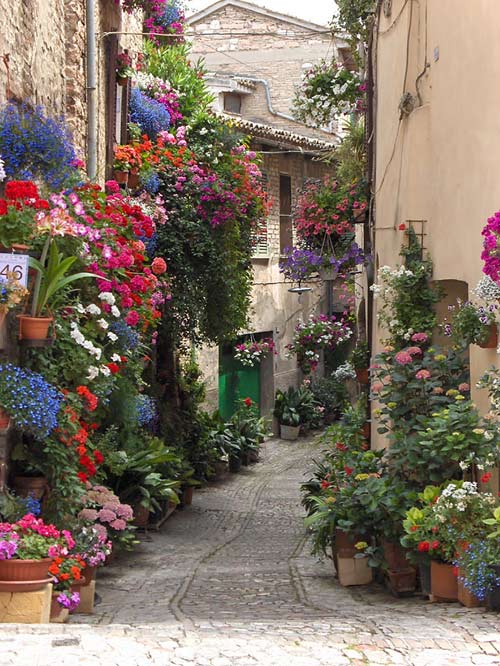 Picture 9 of 15 most beautiful flower paths in the world
