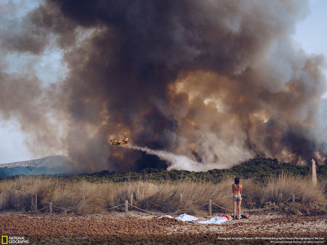 Picture 11 of 15 photos won the 2016 Nature Photographer Award