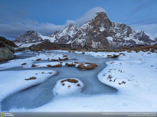 Picture 13 of 15 photos won the 2016 Nature Photographer Award