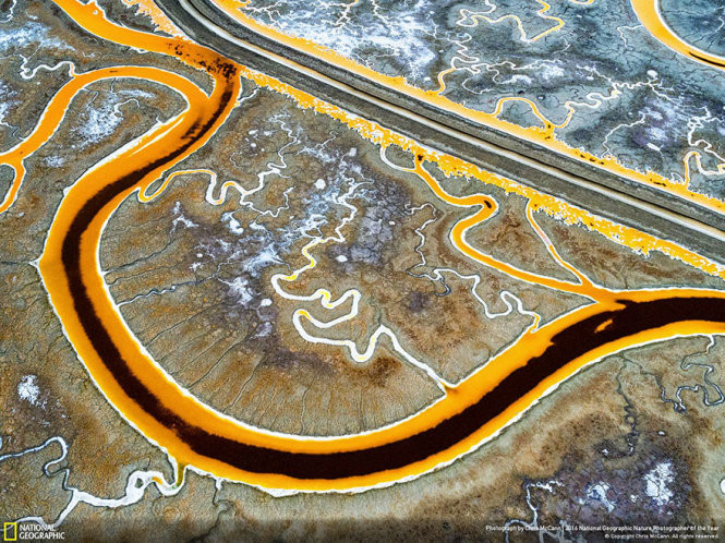 Picture 15 of 15 photos won the 2016 Nature Photographer Award