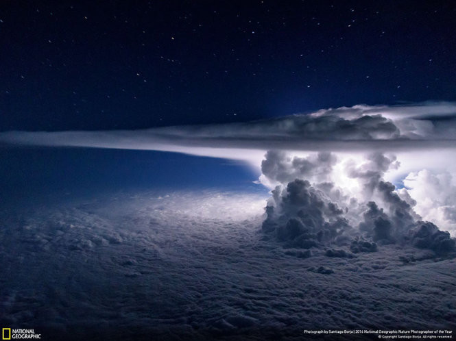 Picture 4 of 15 photos won the 2016 Nature Photographer Award