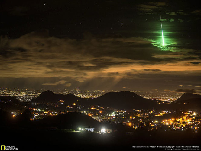 Picture 5 of 15 photos won the 2016 Nature Photographer Award