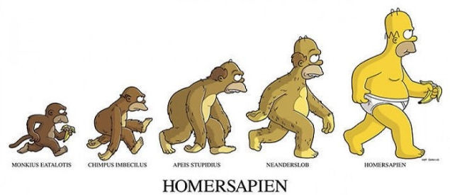 Picture 11 of 15 super funny images of evolution in human life over time
