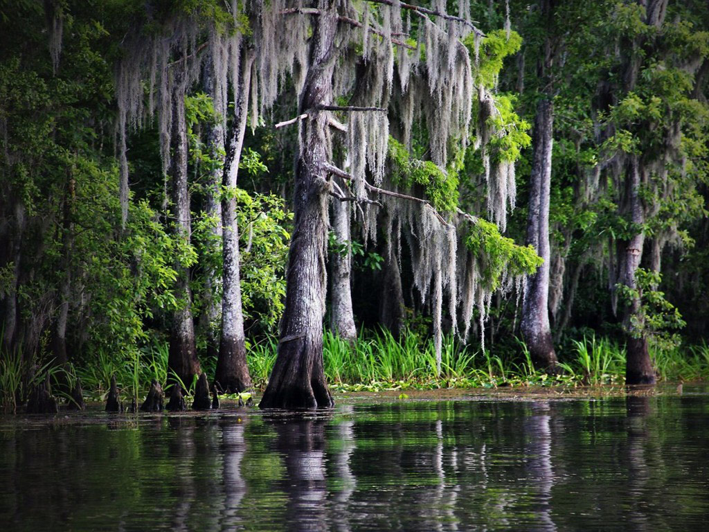 Picture 7 of 15 surprisingly beautiful natural wonders in America