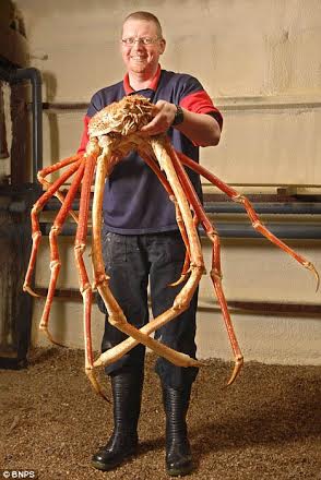 Picture 15 of 15 world's largest animals