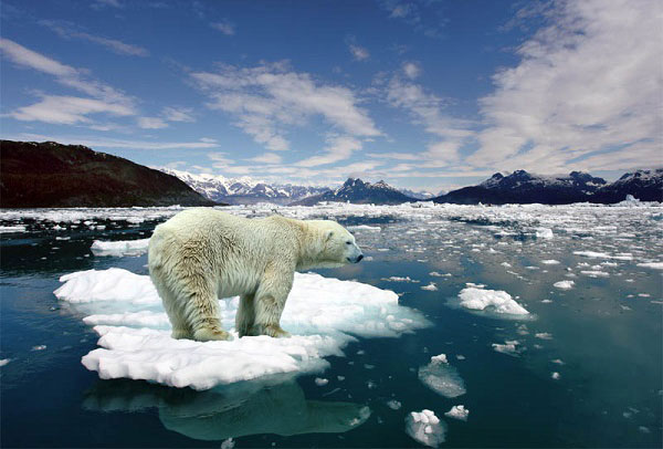 Picture 5 of 15 world's largest animals
