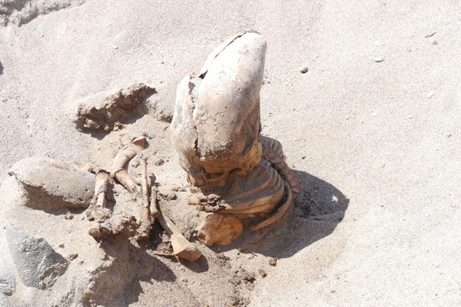 Picture 8 of 150 mysterious mummies revealed in America