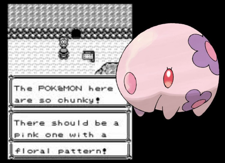 Picture 7 of 16 little things to know about Pokemon
