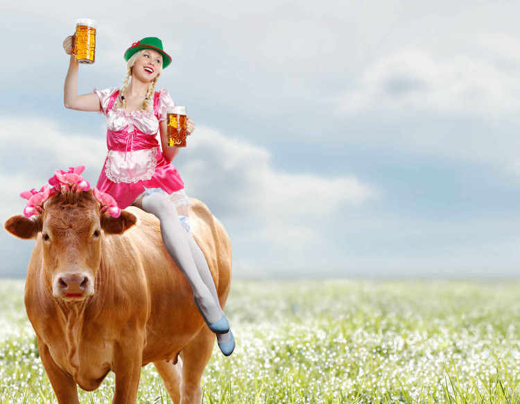 Picture 2 of 16 weird facts about Germany