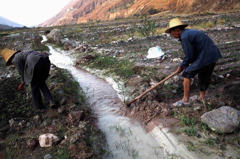 Picture 15 of 18 experiences to survive in dangerous situations, the number 7 is unexpected