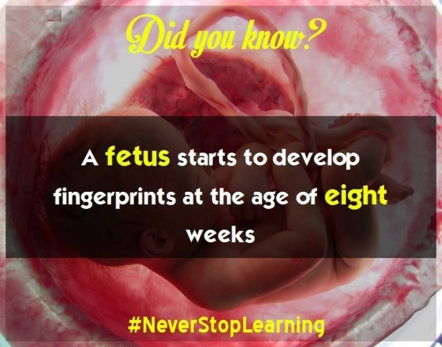 Picture 14 of 18 extremely interesting facts you may not know yet