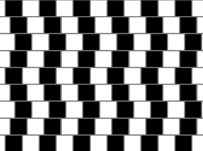 Picture 9 of 18 optical illusions make you crazy