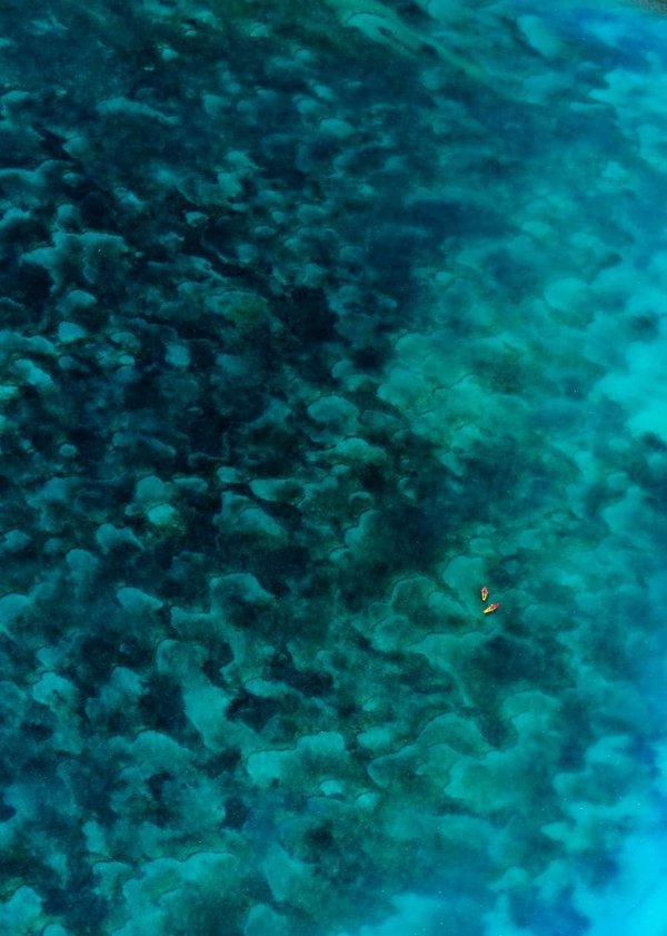 Picture 18 of 18 strange and strange photos give you another view of the sea