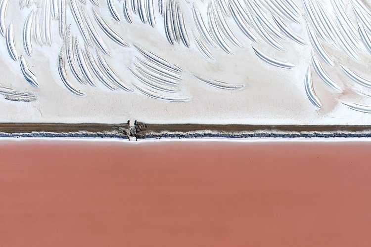Picture 7 of 18 strange and strange photos give you another view of the sea