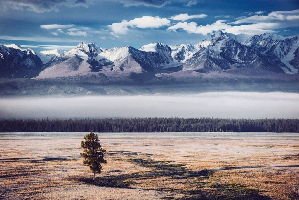 Picture 1 of 18 unbelievably beautiful natural photos make viewers mistaken for a Photoshop product