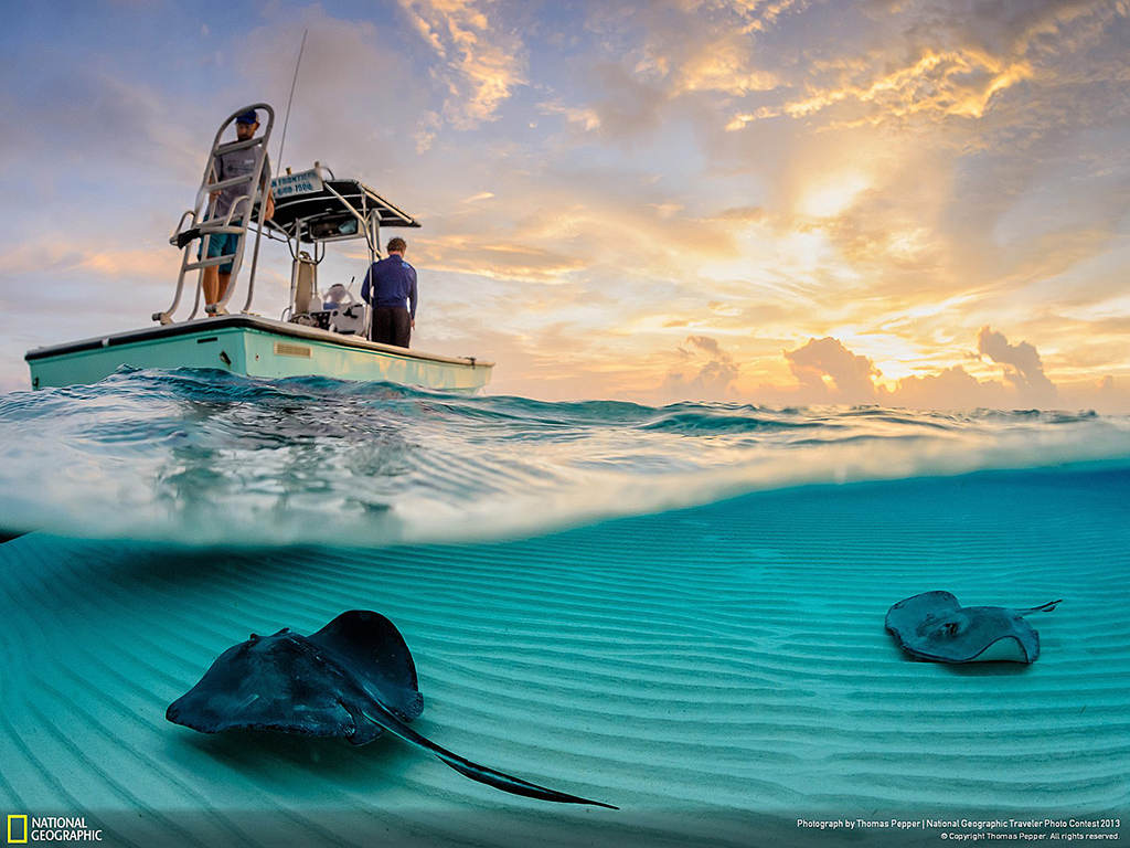 Picture 10 of 18 unbelievably beautiful natural photos make viewers mistaken for a Photoshop product