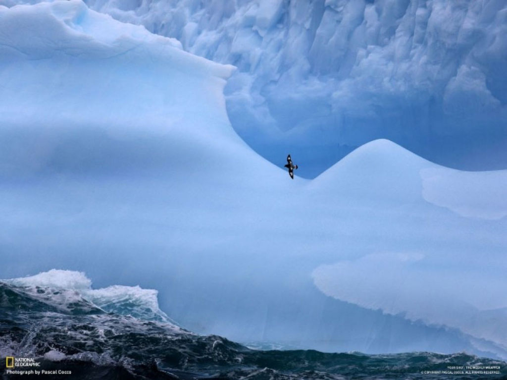 Picture 12 of 18 unbelievably beautiful natural photos make viewers mistaken for a Photoshop product