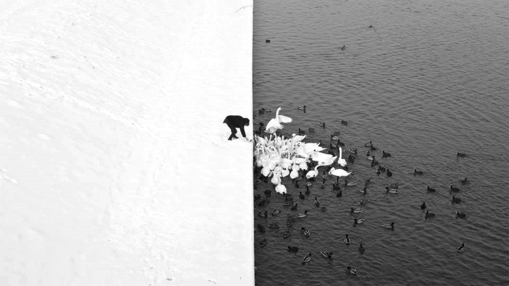 Picture 17 of 18 unbelievably beautiful natural photos make viewers mistaken for a Photoshop product