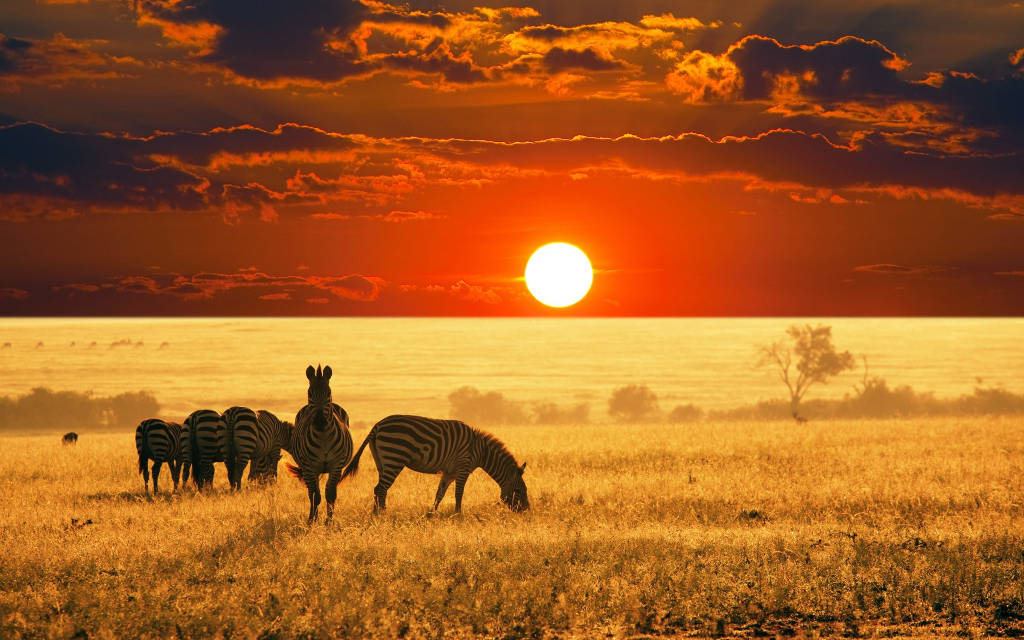 Picture 18 of 18 unbelievably beautiful natural photos make viewers mistaken for a Photoshop product