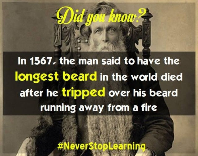 Picture 11 of 19 extremely interesting facts you should not ignore