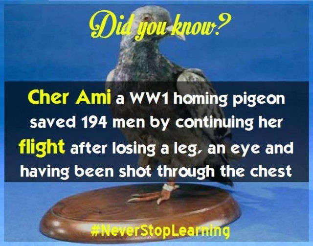 Picture 13 of 19 extremely interesting facts you should not ignore