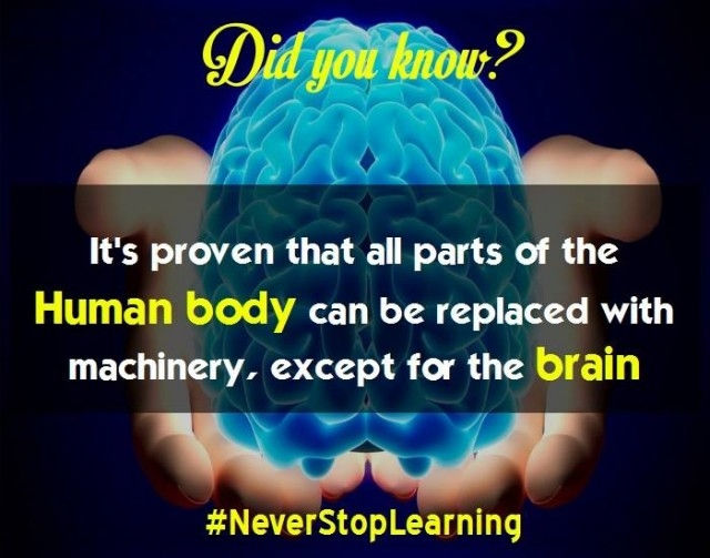 Picture 16 of 19 extremely interesting facts you should not ignore