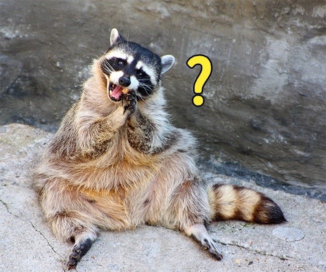 Picture 11 of 19 familiar phenomena that everyone sees but lazy to ask Google